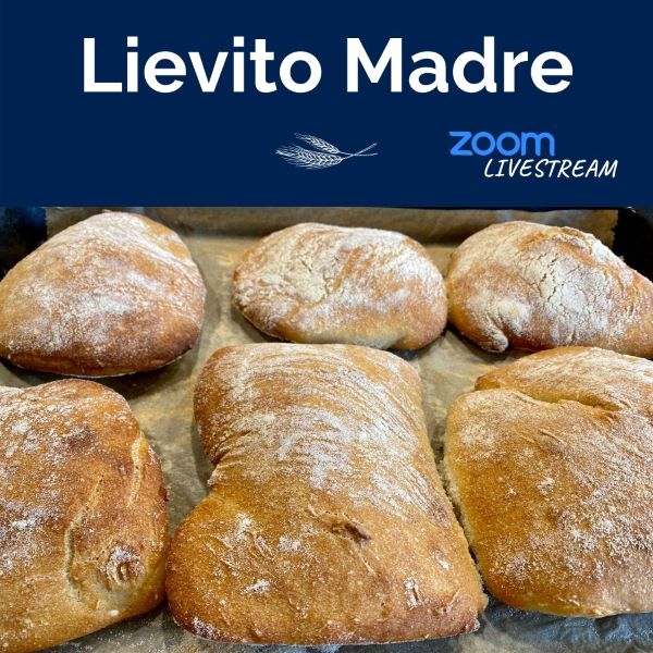 Lievito Madre Online